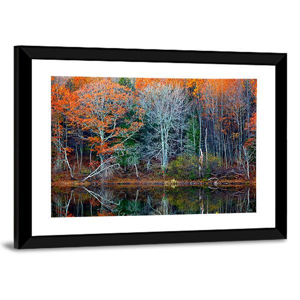 Reflections Of Trees In Water Canvas Wall Art-3 Horizontal-Gallery Wrap-25" x 16"-Tiaracle