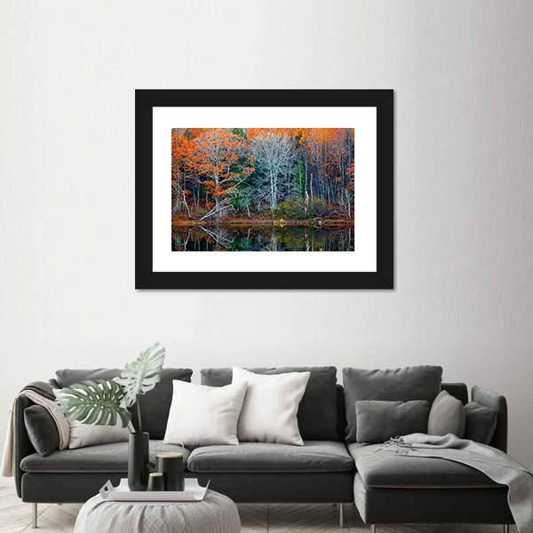 Reflections Of Trees In Water Canvas Wall Art-3 Horizontal-Gallery Wrap-25" x 16"-Tiaracle
