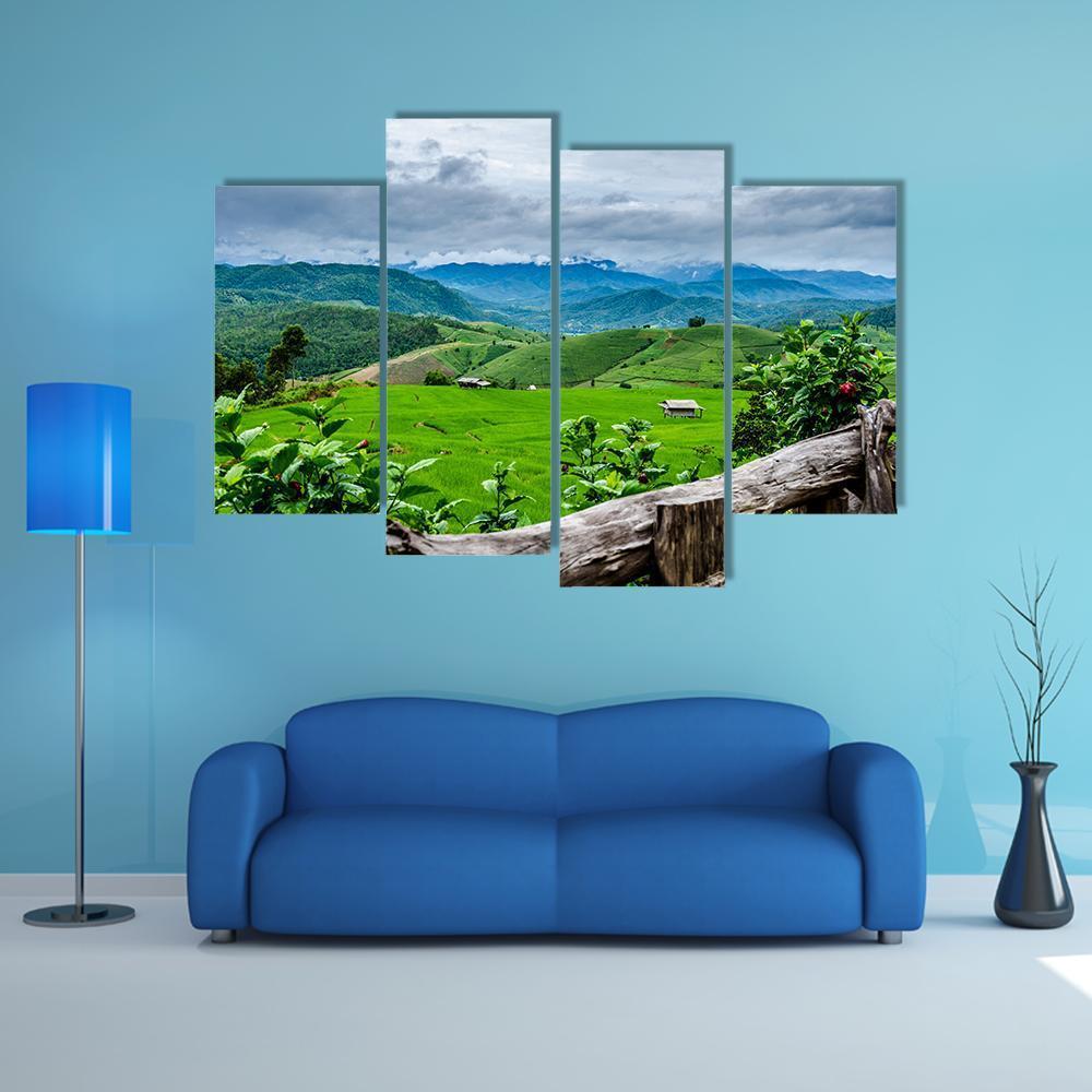 Rice Fields At Maechaem In Thailand Canvas Wall Art-4 Pop-Gallery Wrap-50" x 32"-Tiaracle