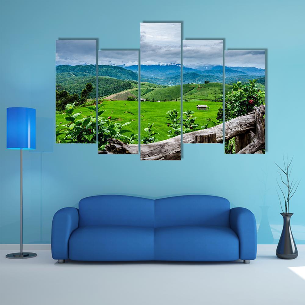 Rice Fields At Maechaem In Thailand Canvas Wall Art-5 Pop-Gallery Wrap-47" x 32"-Tiaracle