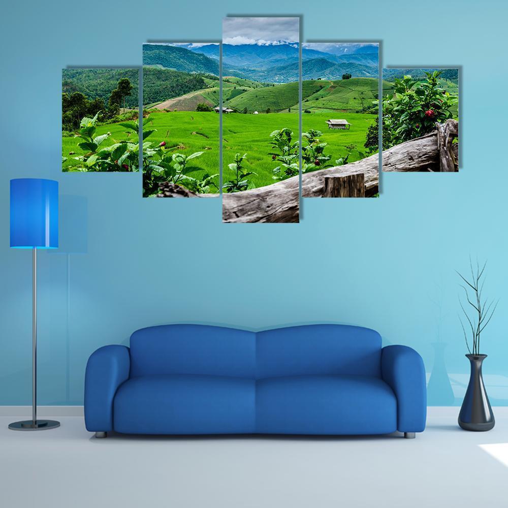Rice Fields At Maechaem In Thailand Canvas Wall Art-5 Star-Gallery Wrap-62" x 32"-Tiaracle