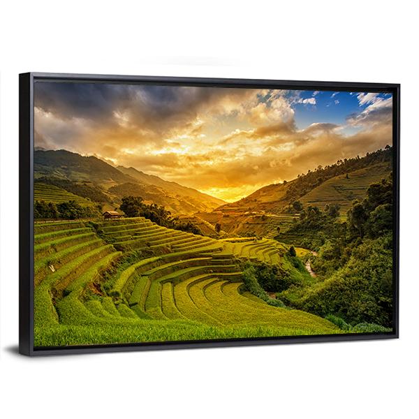 Rice Fields On Terrace Canvas Wall Art-3 Horizontal-Gallery Wrap-25" x 16"-Tiaracle