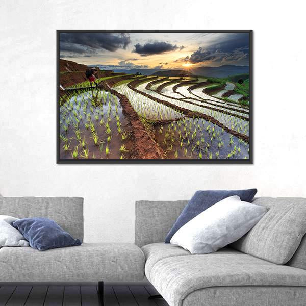 Rice Fields On Terraced At Chiang Mai Thailand Panoramic Canvas Wall Art-1 Piece-36" x 12"-Tiaracle