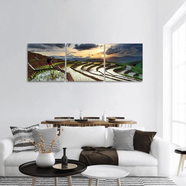 Chiang Mai Rice Terraces at Sunset Panoramic Canvas Wall Art in brown, yellow and green, hung on a wall