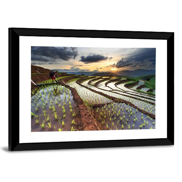 Rice Fields On Terraced At Chiang Mai Thailand Panoramic Canvas Wall Art-1 Piece-36" x 12"-Tiaracle