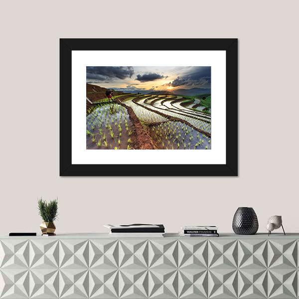Rice Fields On Terraced At Chiang Mai Thailand Panoramic Canvas Wall Art-1 Piece-36" x 12"-Tiaracle