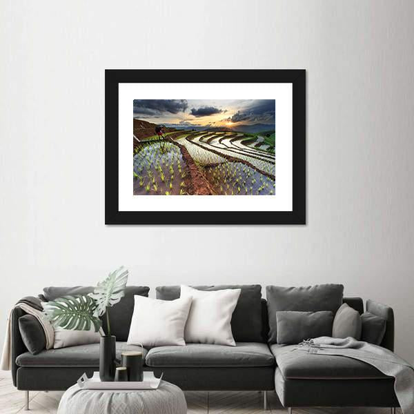 Rice Fields On Terraced At Chiang Mai Thailand Panoramic Canvas Wall Art-1 Piece-36" x 12"-Tiaracle