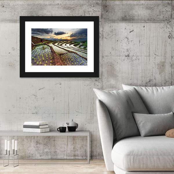 Rice Fields On Terraced At Chiang Mai Thailand Panoramic Canvas Wall Art-1 Piece-36" x 12"-Tiaracle