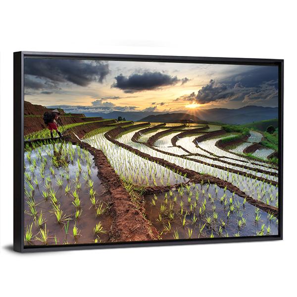 Rice Fields On Terraced At Chiang Mai Thailand Panoramic Canvas Wall Art-1 Piece-36" x 12"-Tiaracle