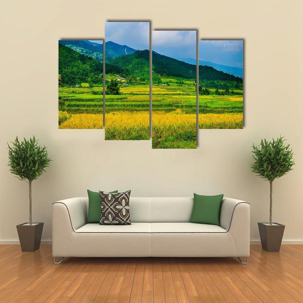 Rice Fields On Terraced Of Vietnam Canvas Wall Art-4 Pop-Gallery Wrap-50" x 32"-Tiaracle