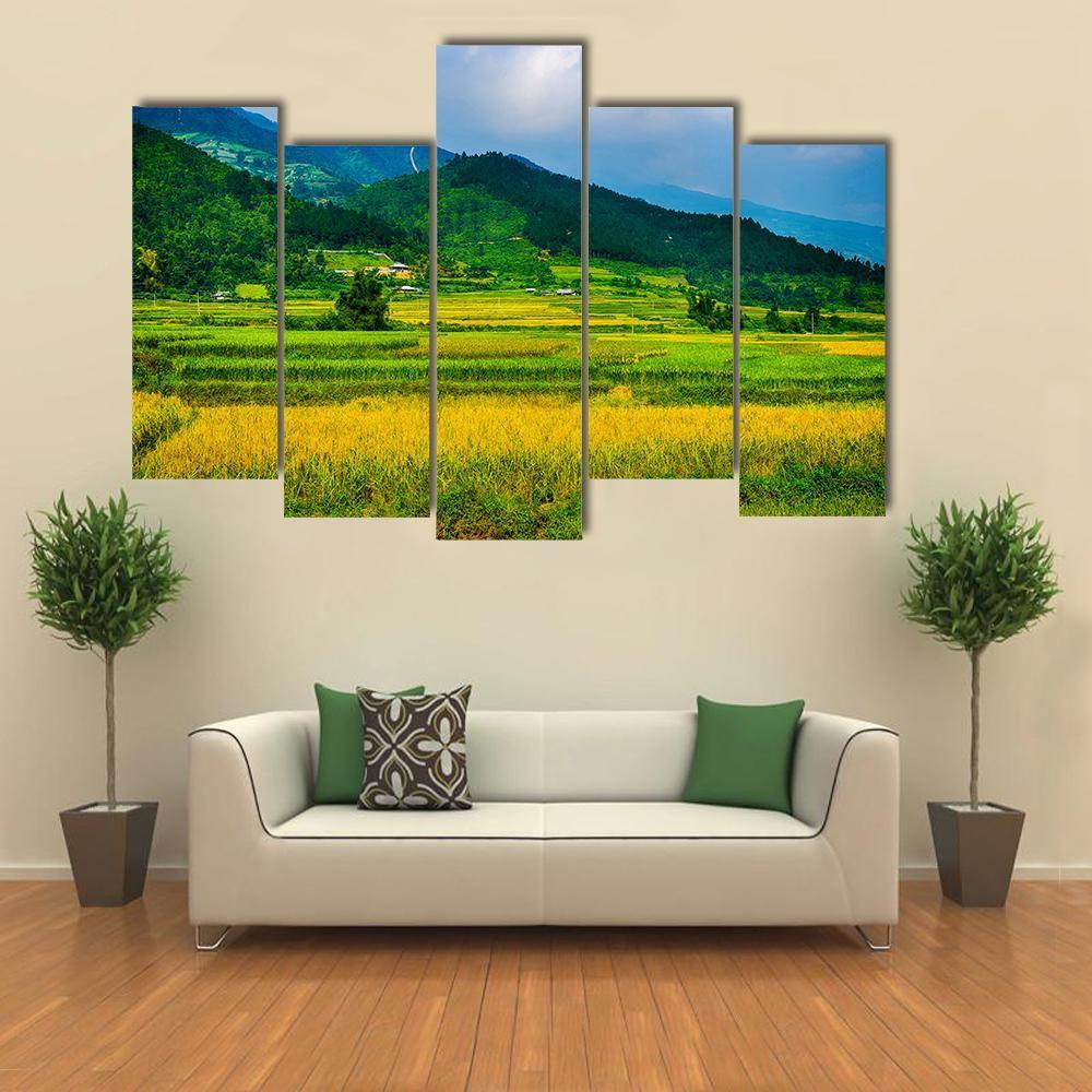Rice Fields On Terraced Of Vietnam Canvas Wall Art-5 Pop-Gallery Wrap-47" x 32"-Tiaracle