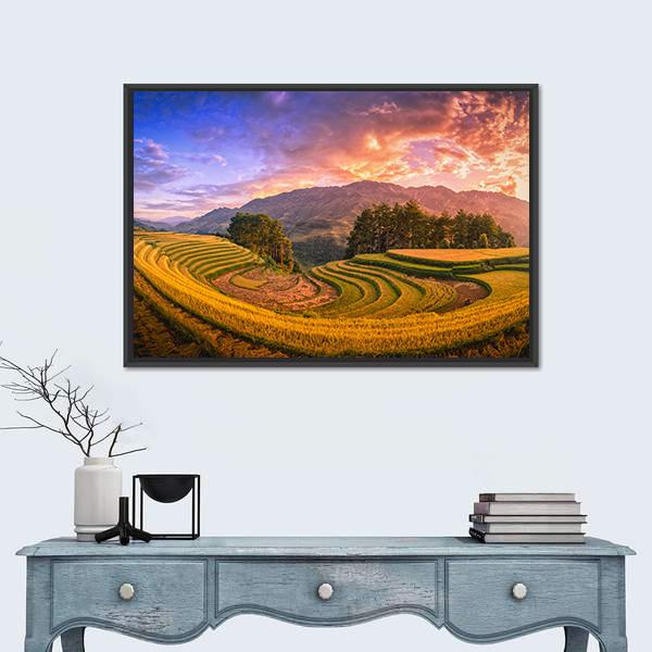 Rice Fields On Terraced With Pine Tree At Sunset Canvas Wall Art-1 Piece-Floating Frame-24" x 16"-Tiaracle