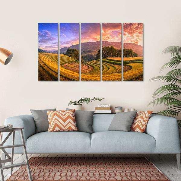 Rice Fields On Terraced With Pine Tree At Sunset Canvas Wall Art-5 Horizontal-Gallery Wrap-22" x 12"-Tiaracle