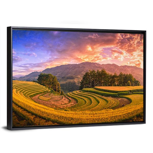 Rice Fields On Terraced With Pine Tree At Sunset Canvas Wall Art-3 Horizontal-Gallery Wrap-25" x 16"-Tiaracle