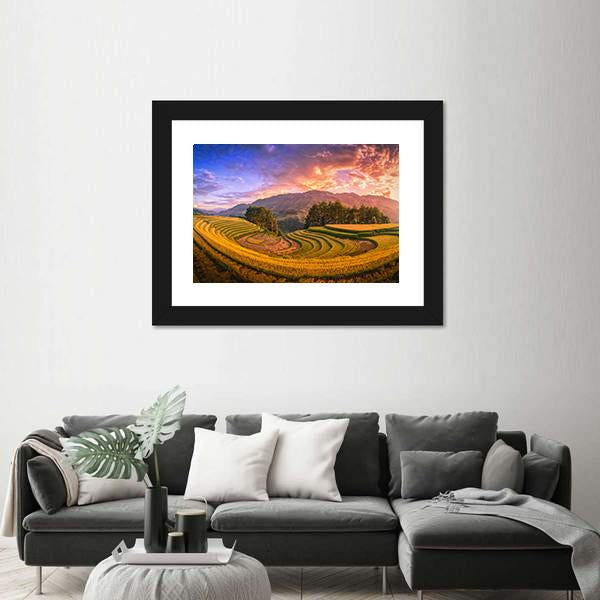 Rice Fields On Terraced With Pine Tree At Sunset Canvas Wall Art-3 Horizontal-Gallery Wrap-25" x 16"-Tiaracle