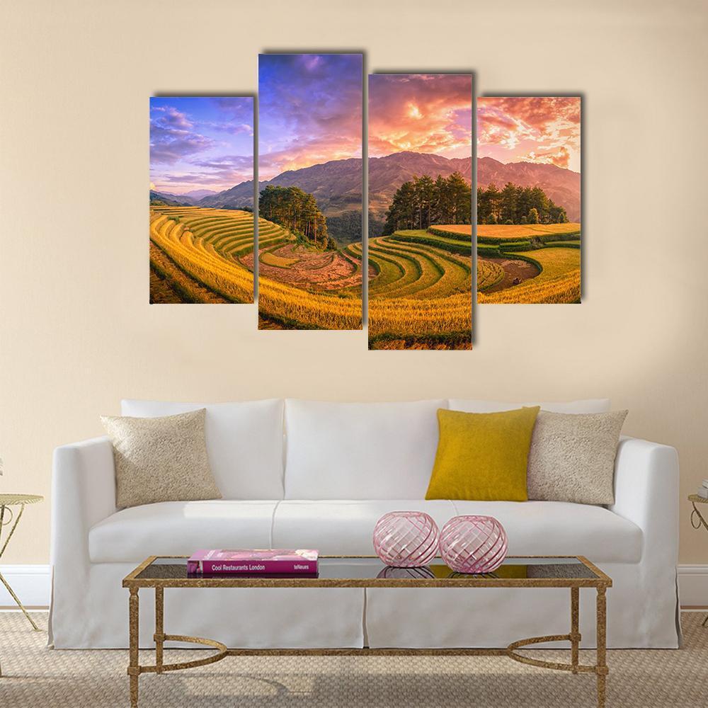 Rice Fields On Terraced With Pine Tree At Sunset Canvas Wall Art-4 Pop-Gallery Wrap-50" x 32"-Tiaracle