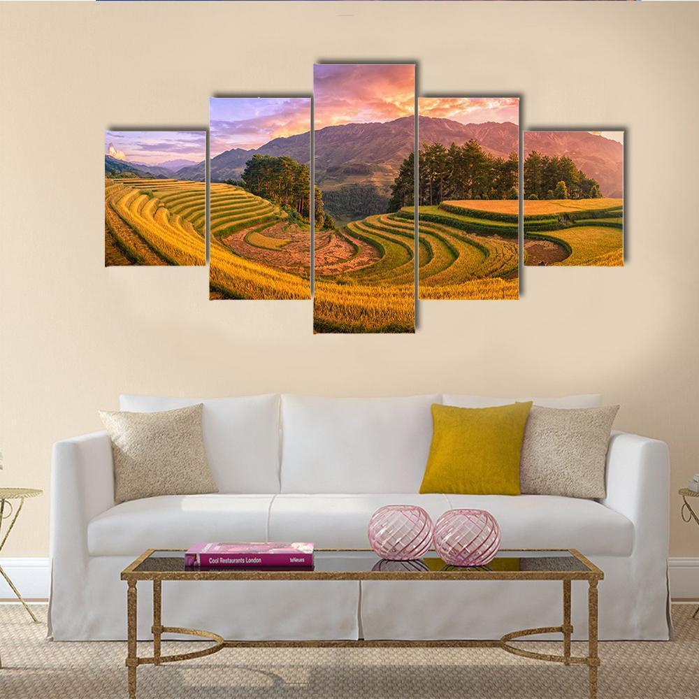 Rice Fields On Terraced With Pine Tree At Sunset Canvas Wall Art-5 Star-Gallery Wrap-62" x 32"-Tiaracle