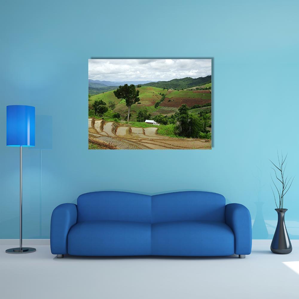 Maechaem Rice Terraces, Thailand Canvas Wall Art in brown and green, single panel hung on a wall