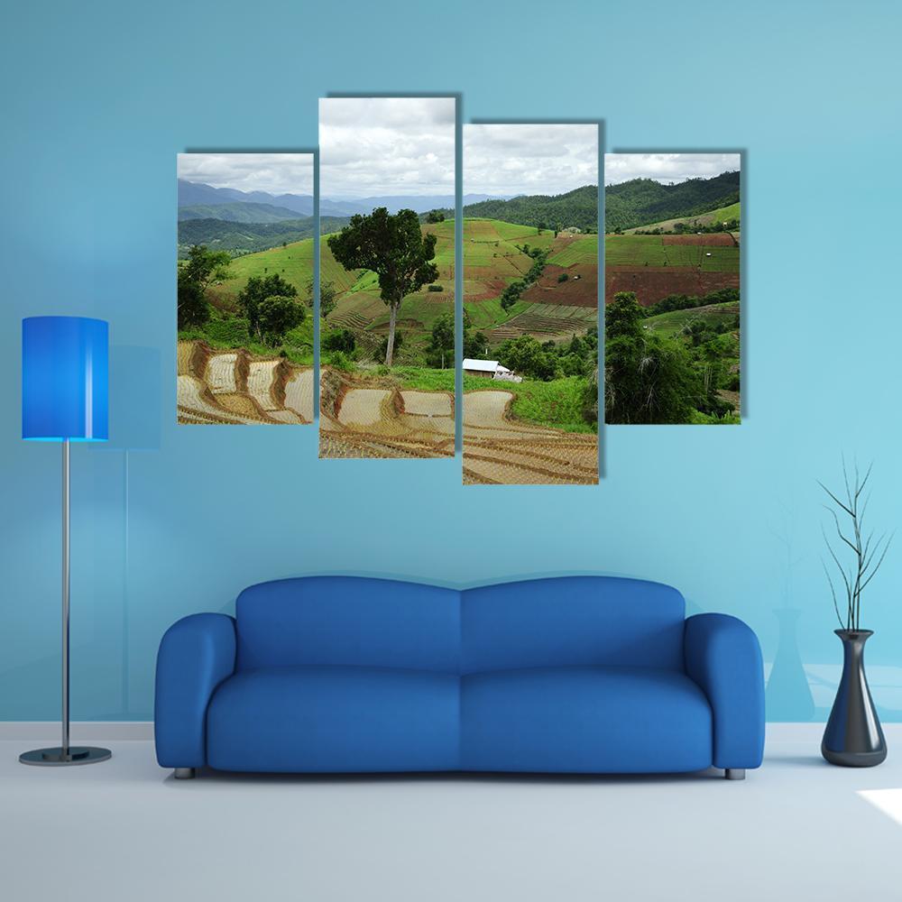 Rice Terrace At Maechaem In Thailand Canvas Wall Art-4 Pop-Gallery Wrap-50" x 32"-Tiaracle