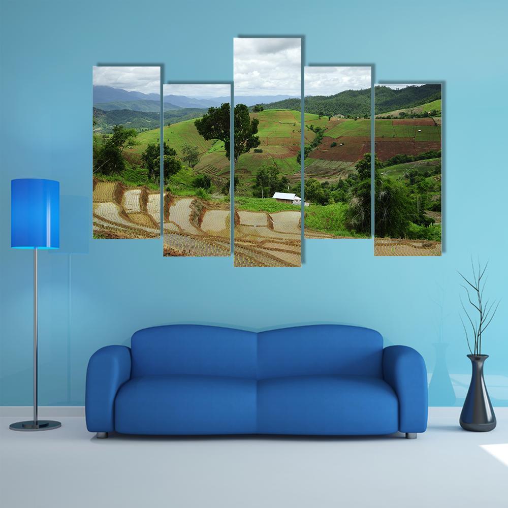 Rice Terrace At Maechaem In Thailand Canvas Wall Art-5 Pop-Gallery Wrap-47" x 32"-Tiaracle