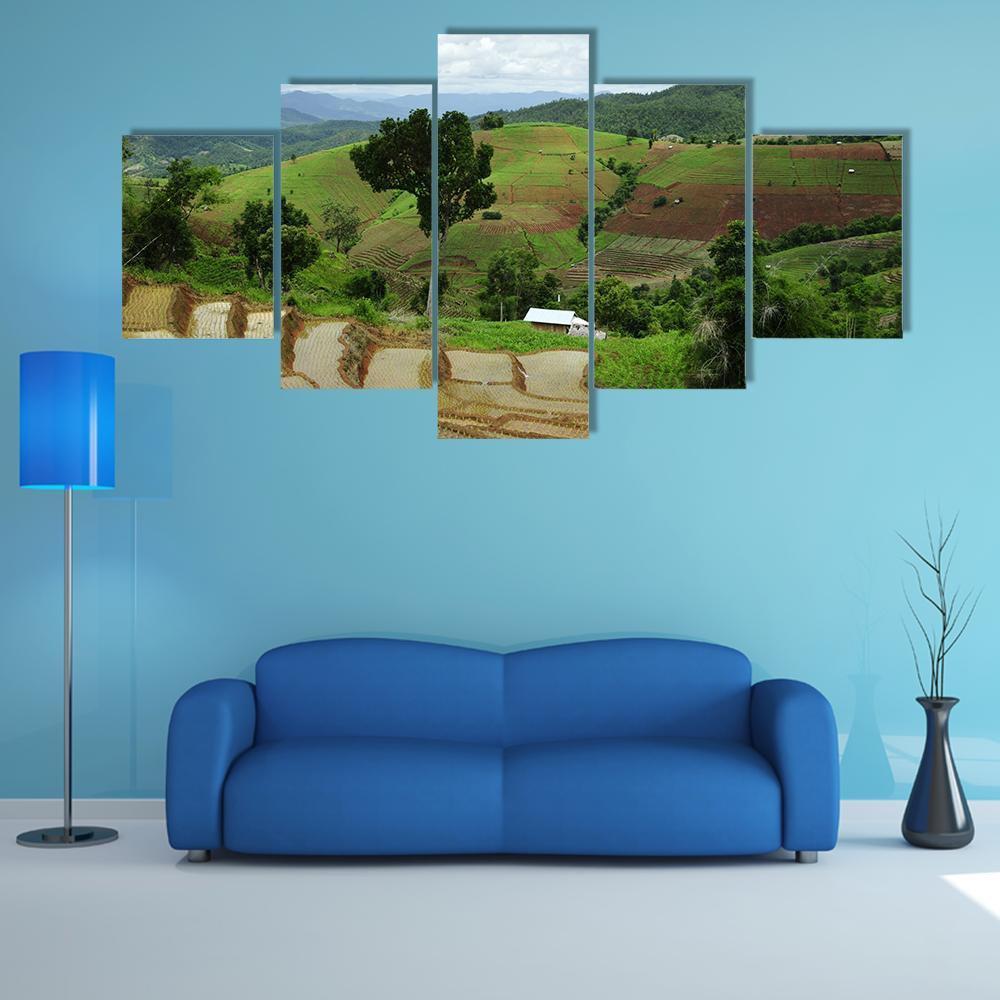 Rice Terrace At Maechaem In Thailand Canvas Wall Art-5 Star-Gallery Wrap-62" x 32"-Tiaracle