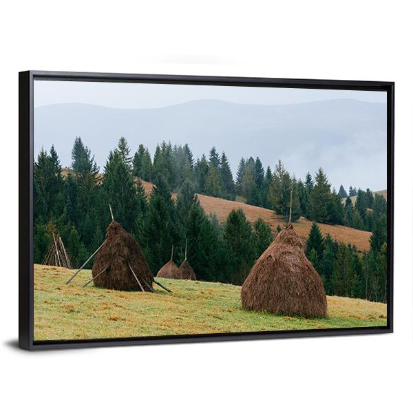 Rick Dry Hay Canvas Wall Art-3 Horizontal-Gallery Wrap-25" x 16"-Tiaracle