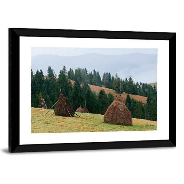 Rick Dry Hay Canvas Wall Art-3 Horizontal-Gallery Wrap-25" x 16"-Tiaracle