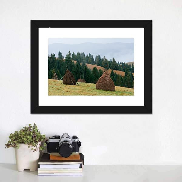 Rick Dry Hay Canvas Wall Art-1 Piece-Framed Print-20" x 16"-Tiaracle
