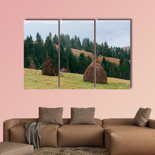 Rick Dry Hay Canvas Wall Art-3 Horizontal-Gallery Wrap-37" x 24"-Tiaracle