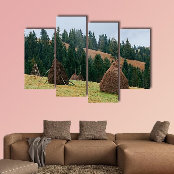 Rick Dry Hay Canvas Wall Art-4 Pop-Gallery Wrap-50" x 32"-Tiaracle