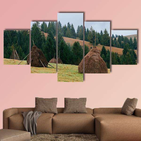 Rick Dry Hay Canvas Wall Art-5 Star-Gallery Wrap-62" x 32"-Tiaracle