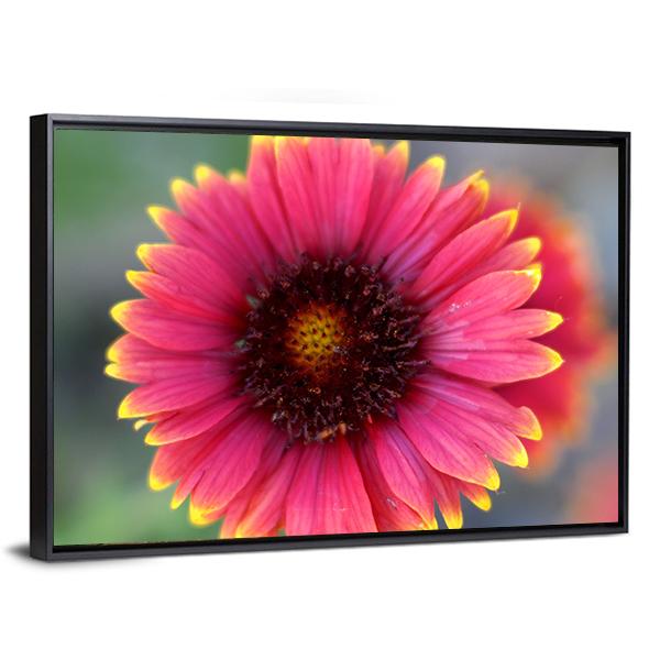 Ripe Red Flower Canvas Wall Art-3 Horizontal-Gallery Wrap-25" x 16"-Tiaracle