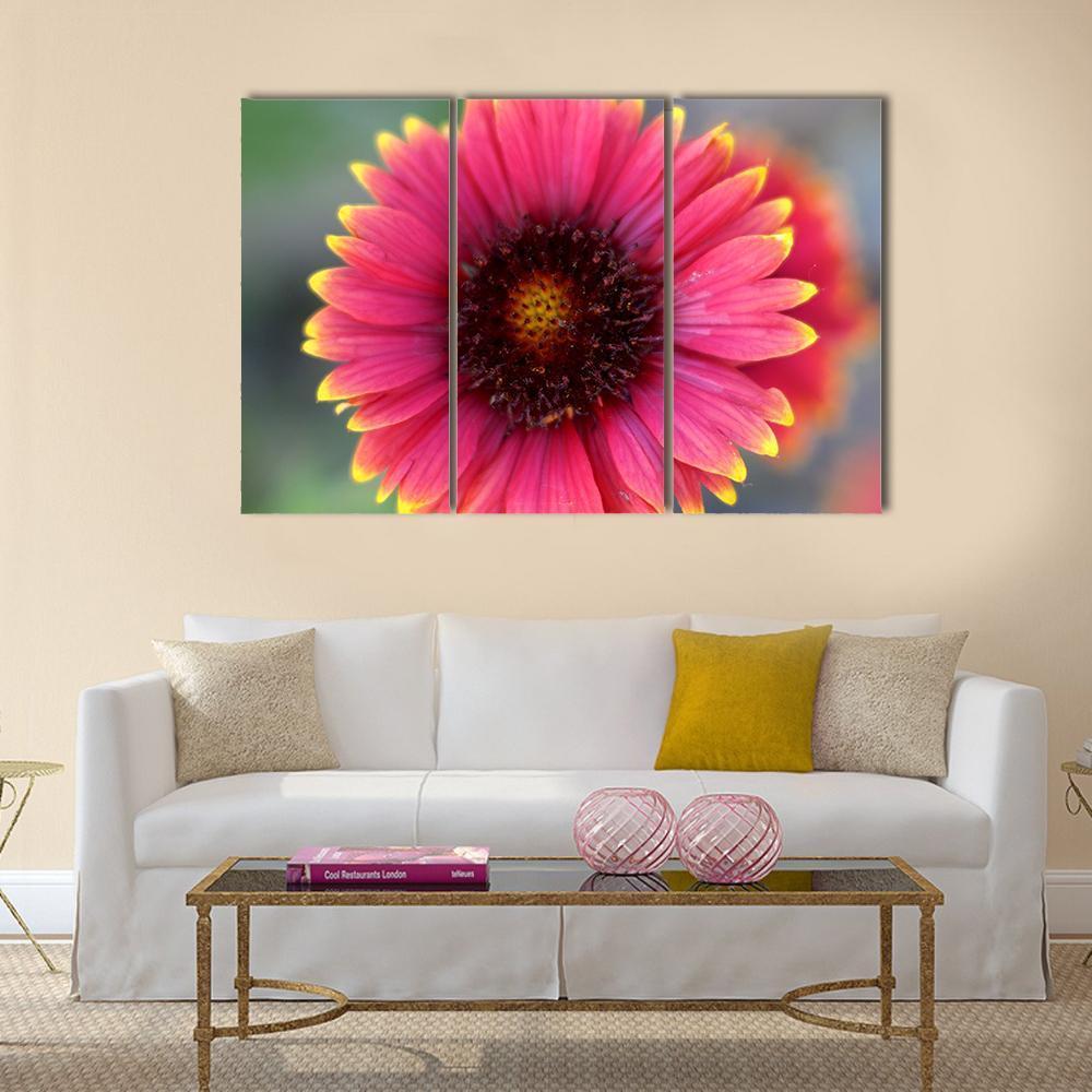 Ripe Red Flower Canvas Wall Art-3 Horizontal-Gallery Wrap-37" x 24"-Tiaracle