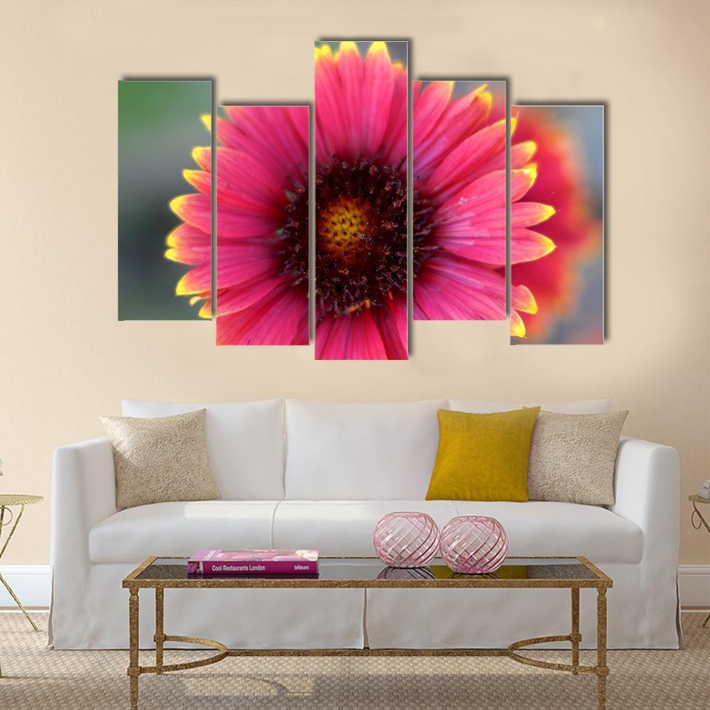 Ripe Red Flower Canvas Wall Art-5 Pop-Gallery Wrap-47" x 32"-Tiaracle