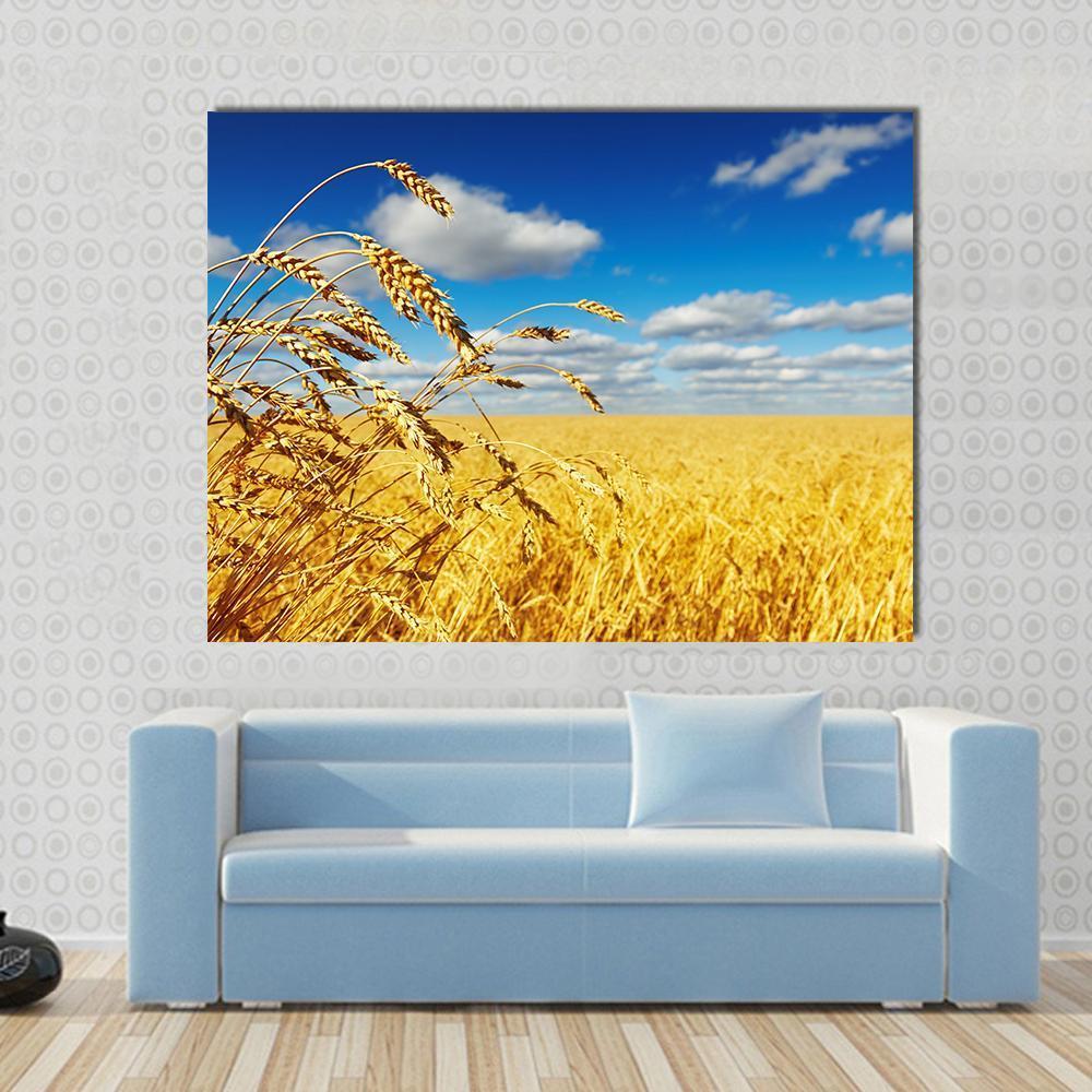 Ripe Wheat Ears Over Wheat Field Canvas Wall Art in gold, yellow and blue, single panel hung on a wall