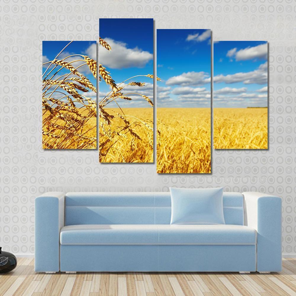 Ripe Wheat Ears Over Wheat Field Canvas Wall Art-4 Pop-Gallery Wrap-50" x 32"-Tiaracle