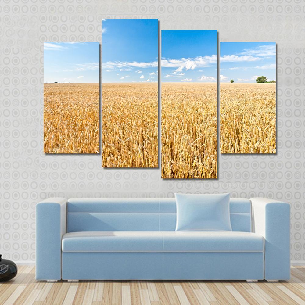 Ripe Wheat Field And Blue Sky With Clouds Canvas Wall Art-4 Pop-Gallery Wrap-50" x 32"-Tiaracle