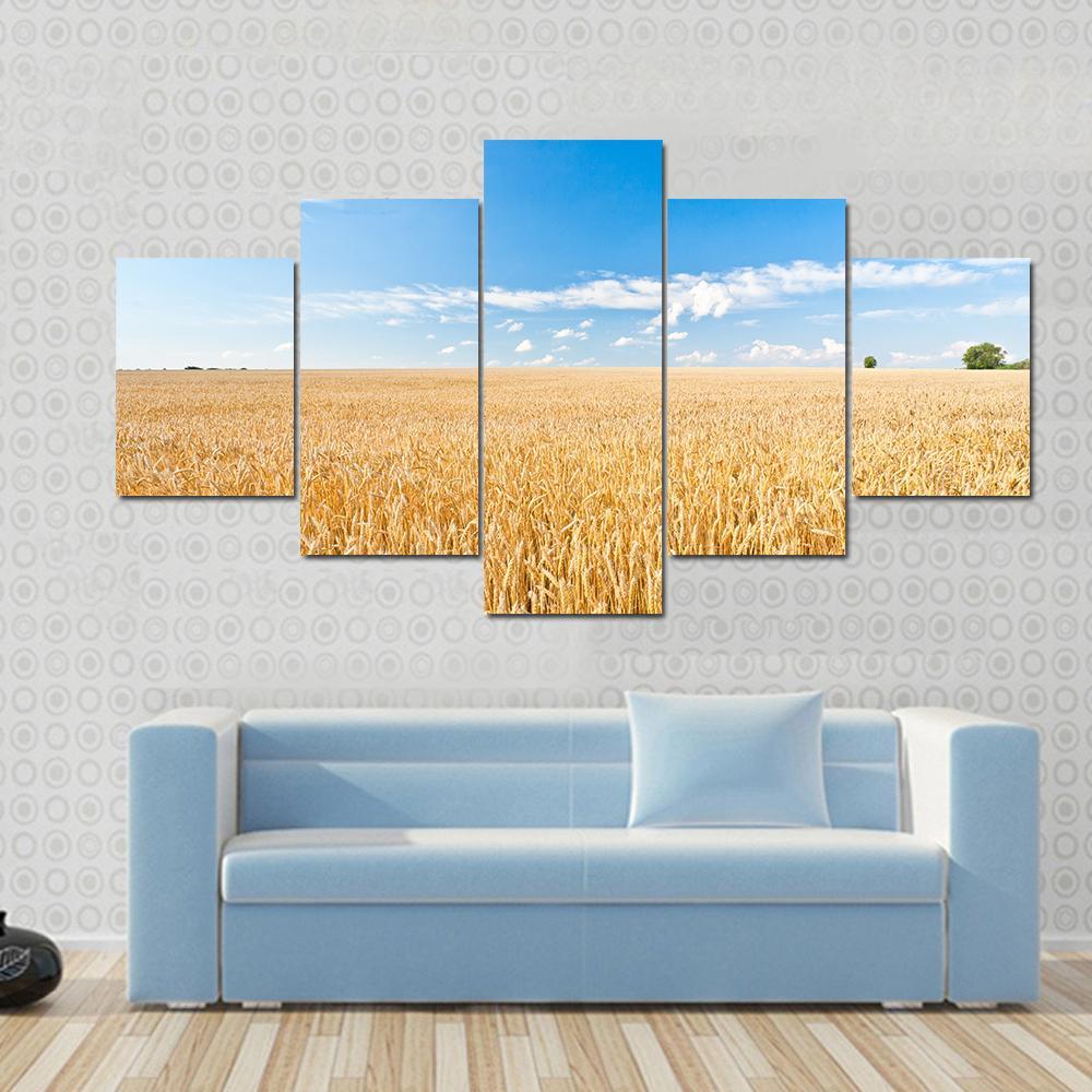 Ripe Wheat Field And Blue Sky With Clouds Canvas Wall Art-4 Pop-Gallery Wrap-50" x 32"-Tiaracle