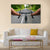 Road Cycling Canvas Wall Art-5 Star-Gallery Wrap-62" x 32"-Tiaracle