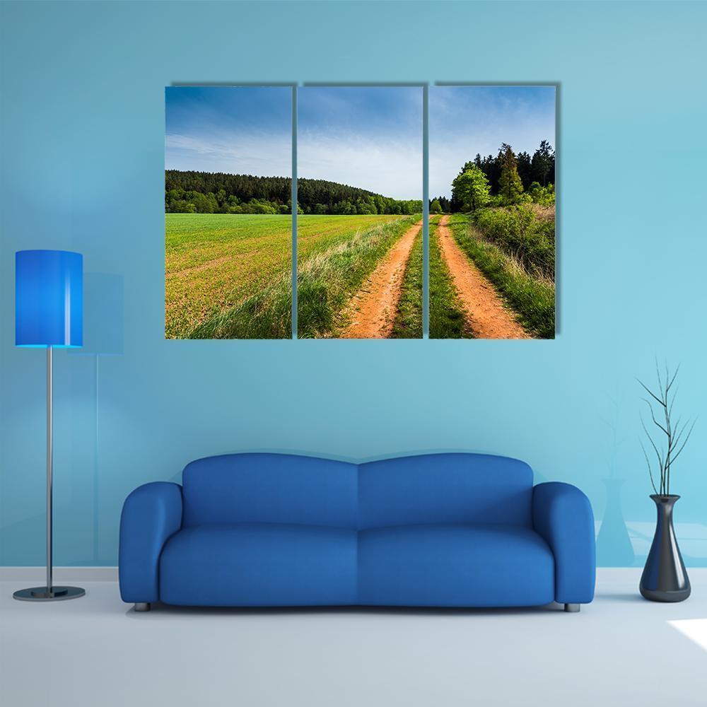 Road In Summer Field Canvas Wall Art-3 Horizontal-Gallery Wrap-37" x 24"-Tiaracle