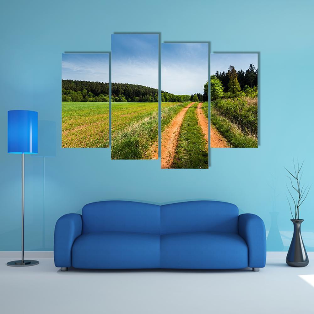 Road In Summer Field Canvas Wall Art-4 Pop-Gallery Wrap-50" x 32"-Tiaracle