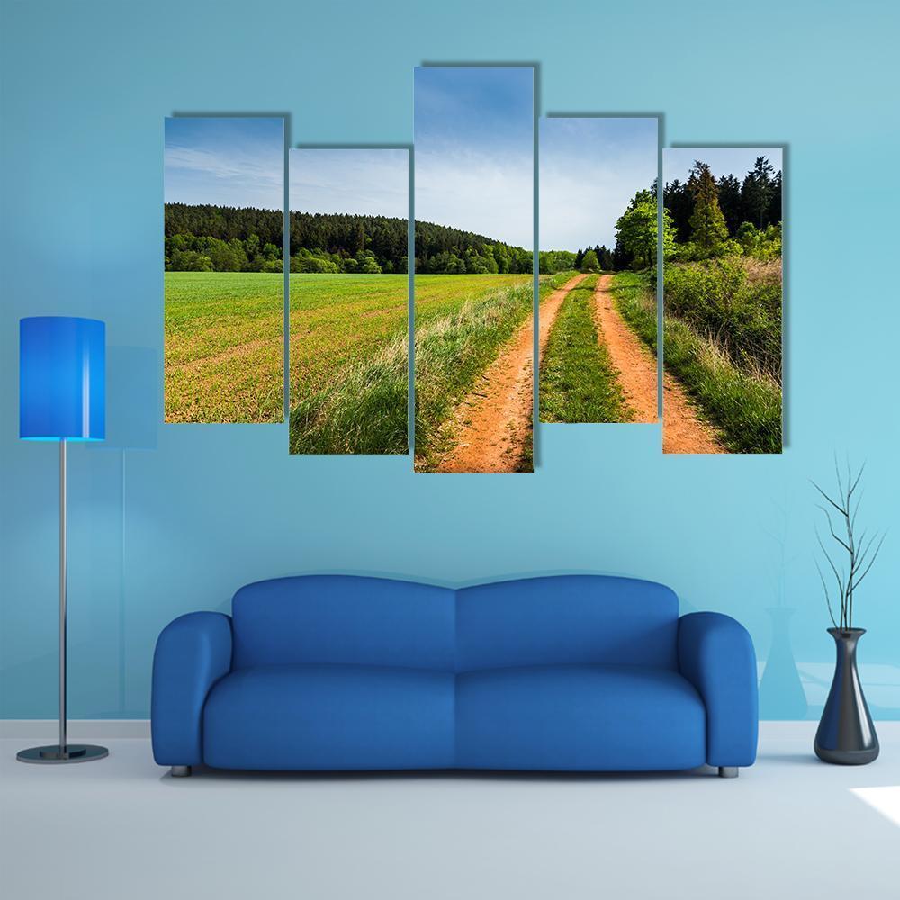 Road In Summer Field Canvas Wall Art-5 Pop-Gallery Wrap-47" x 32"-Tiaracle