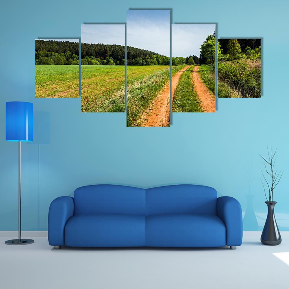 Road In Summer Field Canvas Wall Art-5 Star-Gallery Wrap-62" x 32"-Tiaracle
