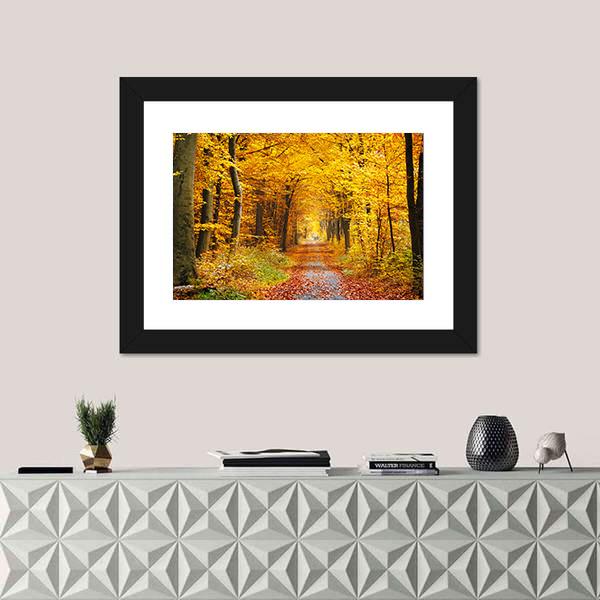 Road In The Autumn Forest Canvas Wall Art-1 Piece-Framed Print-20" x 16"-Tiaracle