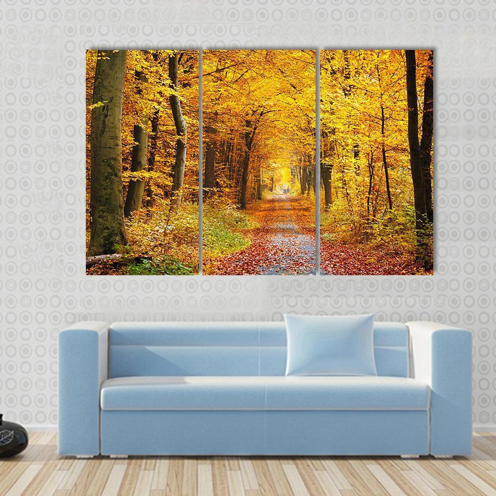 Road In The Autumn Forest Canvas Wall Art-3 Horizontal-Gallery Wrap-37" x 24"-Tiaracle