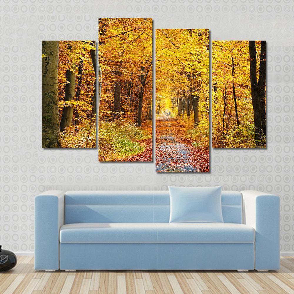 Road In The Autumn Forest Canvas Wall Art-4 Pop-Gallery Wrap-50" x 32"-Tiaracle