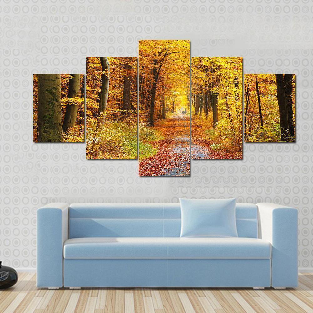 Road In The Autumn Forest Canvas Wall Art-5 Pop-Gallery Wrap-47" x 32"-Tiaracle