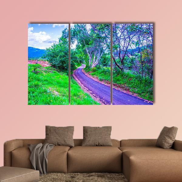 Road On Mountain In Thailand Canvas Wall Art-3 Horizontal-Gallery Wrap-37" x 24"-Tiaracle