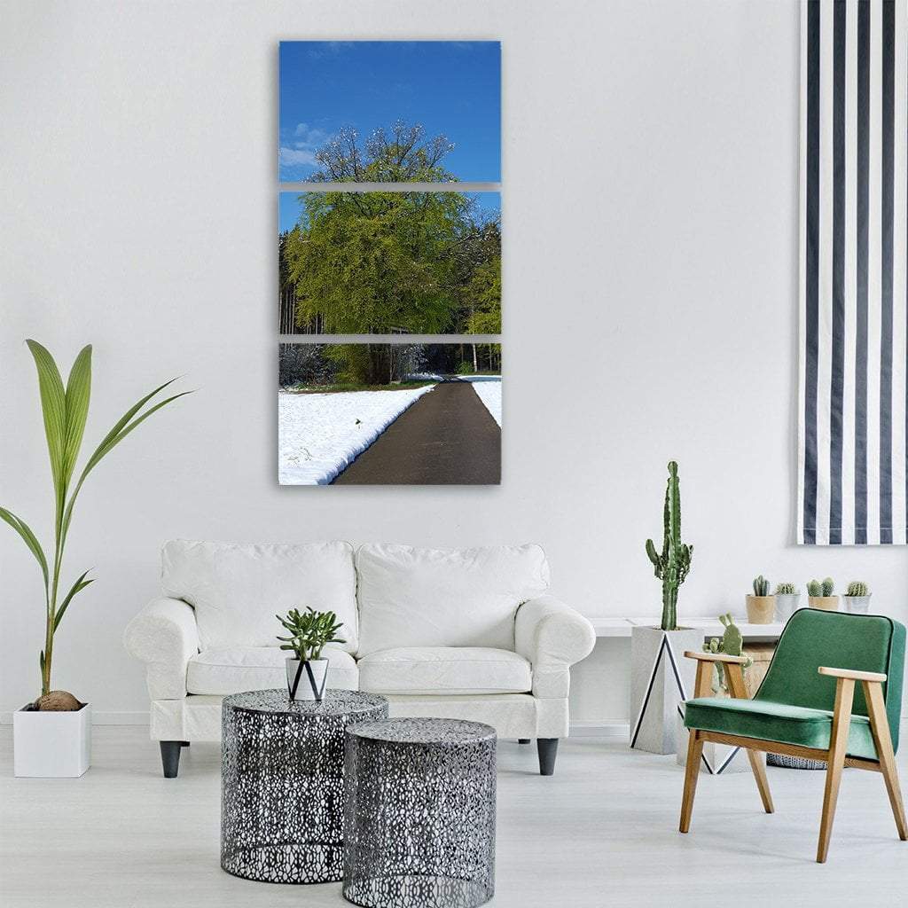 Road Path In Winter With Spring Vertical Canvas Wall Art-3 Vertical-Gallery Wrap-12" x 25"-Tiaracle