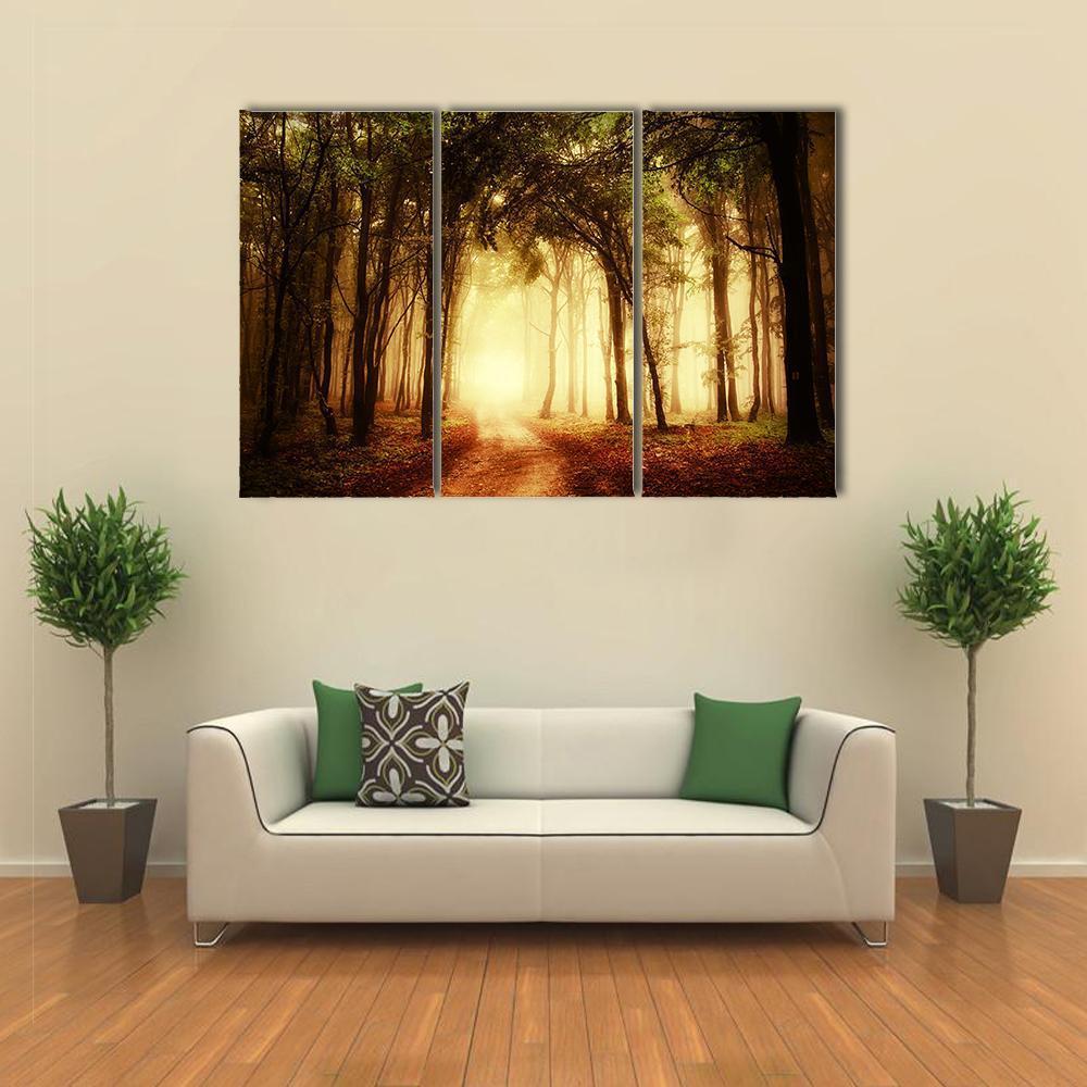 Road Through A Golden Forest At Autumn Canvas Wall Art-3 Horizontal-Gallery Wrap-37" x 24"-Tiaracle